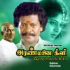 Mano & Chitra - Adi Poonguyile