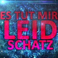 Es tut mir Leid - Single - Execute