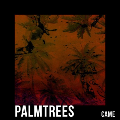 Palmtrees - Single
