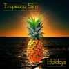 Holidays (feat. La-Ra & Clusterfunk Horns) - Single