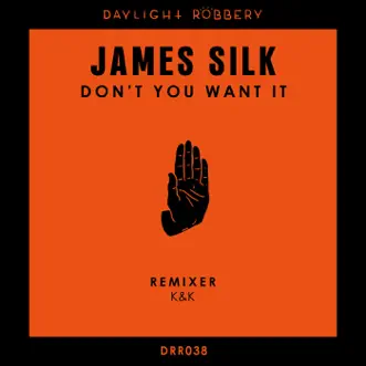 Don't You Want It (K & K Remix) by James Silk song reviws