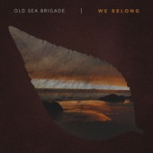 We Belong artwork