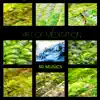 Relaxing Mindfulness Meditation Relaxation Maestro - Zen Music Garden (Inspirational Mood Music)