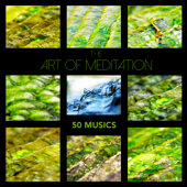 The Art of Meditation: 50 Musics - Zen Garden Meditation Music & Soothing Sleep Sounds for Relaxation, Mindfulness Therapy and Healing Sleep