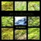 Relaxing Meditation Music (Sleeping Music) - Relaxing Mindfulness Meditation Relaxation Maestro lyrics