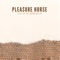 Uncle B. - Pleasure Horse lyrics