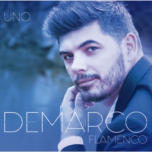 Demarco Flamenco - Niña del Aire
