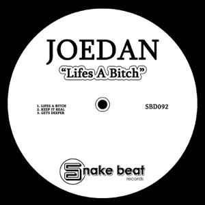 Lifes a Bitch - Single