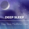 Deep Sleep Hypnosis - Deep Sleep Meditation Oasis lyrics