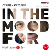 In the Mood for Meditation & Zen, Vol. 3: Albinoni, Mozart, Schubert, Gounod, Grieg, Boulez... (Classical Piano Hits) artwork