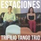 Little Four Seasons of D.C.: II. Mar Adentro - Trifilio Tango Trio lyrics