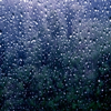 Raindrops Keep Falling On My Head - Steve Urban