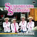 TU FORMA DE SER