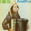 Centavos Novos