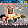 Maha Mrutyunjaya Mantra - S.P. Balasubrahmanyam