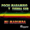 Pochi Marambio y Tierra Sur: Mi Marimba (Reggae)