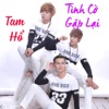 Tinh Co Gap Lai - Single