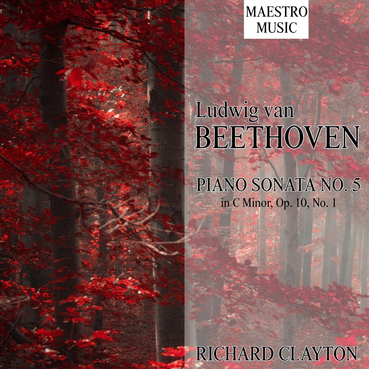 Ludwig Van Beethoven: Piano Sonata No. 5 In C Minor, Op. 10 No. 1 ...