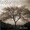 Matt Foster - Inner Vision