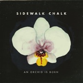 Sidewalk Chalk - Take the Time