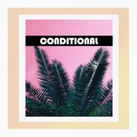 Conditional - Single - Brandy Haze