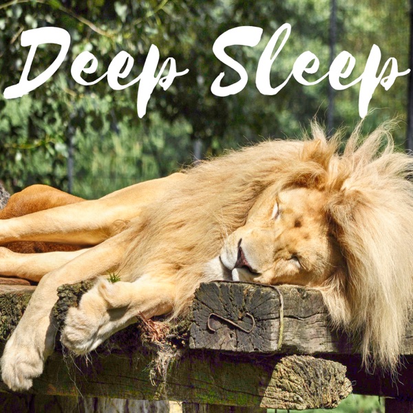 Deep Sleep Aid Brainwave Entrainment Meditation Treat Insomnia with Nature Sounds - Isochronic Tones Binaural Beats