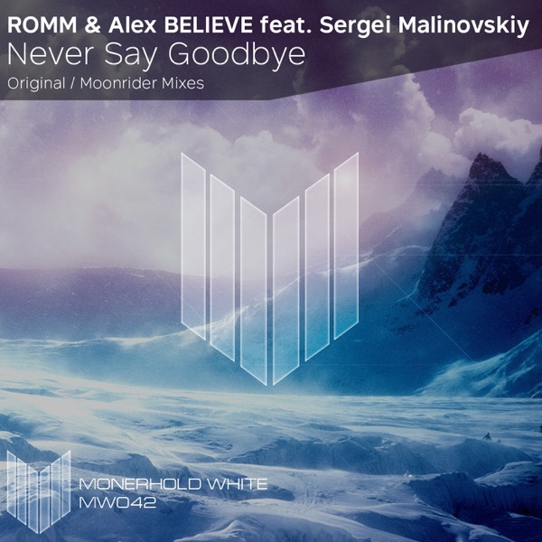 Never Say Goodbye (feat. Sergei Malinovskiy) - Single