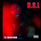 D.S.L. - Ts Madison lyrics