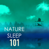 Nature Sleep 101 - Pillow Sounds for Deep Relaxation, Ocean, Rain Relaxing Ambience - Nature Caldwell