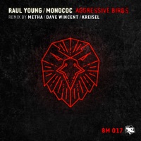 Aggressive Birds - EP - Raul Young & Monococ