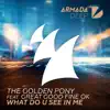 The Golden Pony - What Do U See in Me (feat. Great Good Fine Ok)