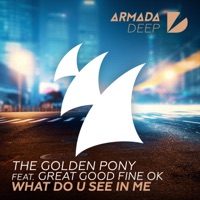 What Do U See in Me (feat. Great Good Fine Ok) - Single - The Golden Pony