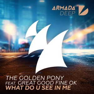 What Do U See in Me (feat. Great Good Fine Ok) - Single