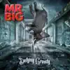 Mr. Big - Open Your Eyes