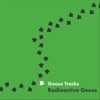 Radioactive Geese