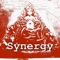 Synergy - Travis A. King lyrics