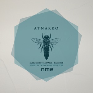 Echoes in the Dark / Bass Bee - EP