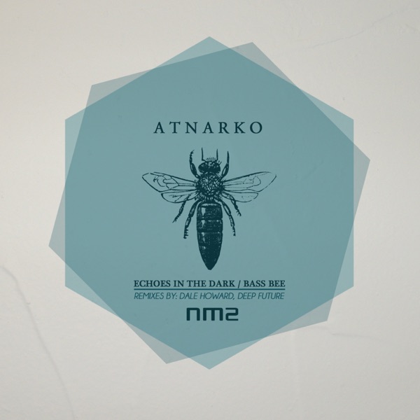 Echoes in the Dark / Bass Bee - EP