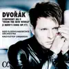 NDR Elbphilharmonie Orchester & Krzysztof Urbański - Symphony No. 9 in E Minor, Op. 95, B. 178 "From the New World": III. Molto vivace