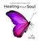 Soul Connection - Davidji lyrics