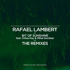 Bit of Sunshine (The Remixes) (feat. Mihai Sorohan & Chloe Kay) - Single