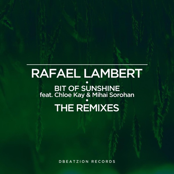 Bit of Sunshine (The Remixes) (feat. Mihai Sorohan & Chloe Kay) - Single