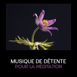 Musique de détente pour la méditation - Sons d'instruments tibétains, mantras de méditation, thérapie de guérison reiki