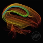 This Is Your Brain on Love (Instrumental)