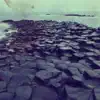 Farflung - You Will Kill for Me