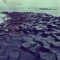 You Will Kill for Me