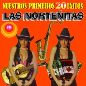 Las Norteñitas - Mi Unico Camino