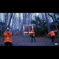 Liv a Lil - Gold Hippy