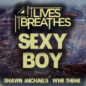 Sexy Boy (Shawn Michaels' Wwe Theme) artwork