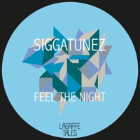 Feel the Night - Single - Siggatunez